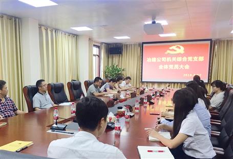 公司機(jī)關(guān)綜合黨支部召開(kāi)全體黨員大會(huì)