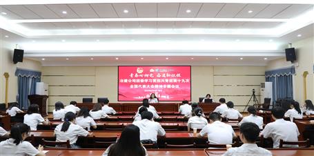 公司團(tuán)委召開學(xué)習(xí)貫徹共青團(tuán)第十九次全國(guó)代表大會(huì)精神專題會(huì)議